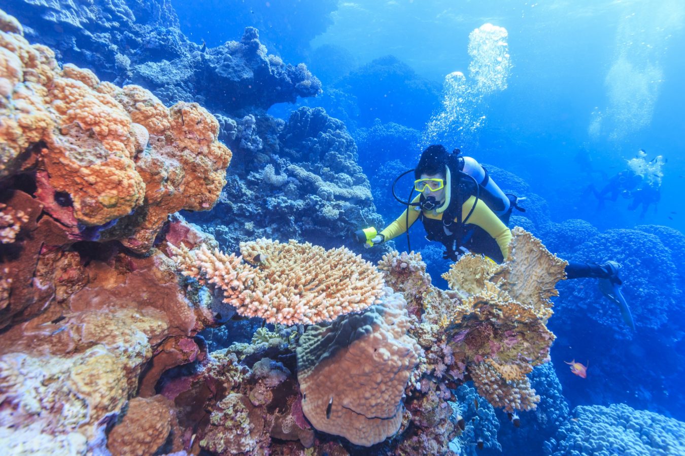 best scuba diving packages india