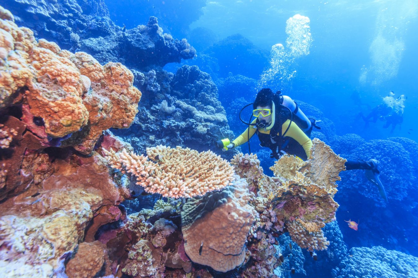 scuba-diving-in-goa-scuba-diving-courses-in-goa-treks-n-rapids